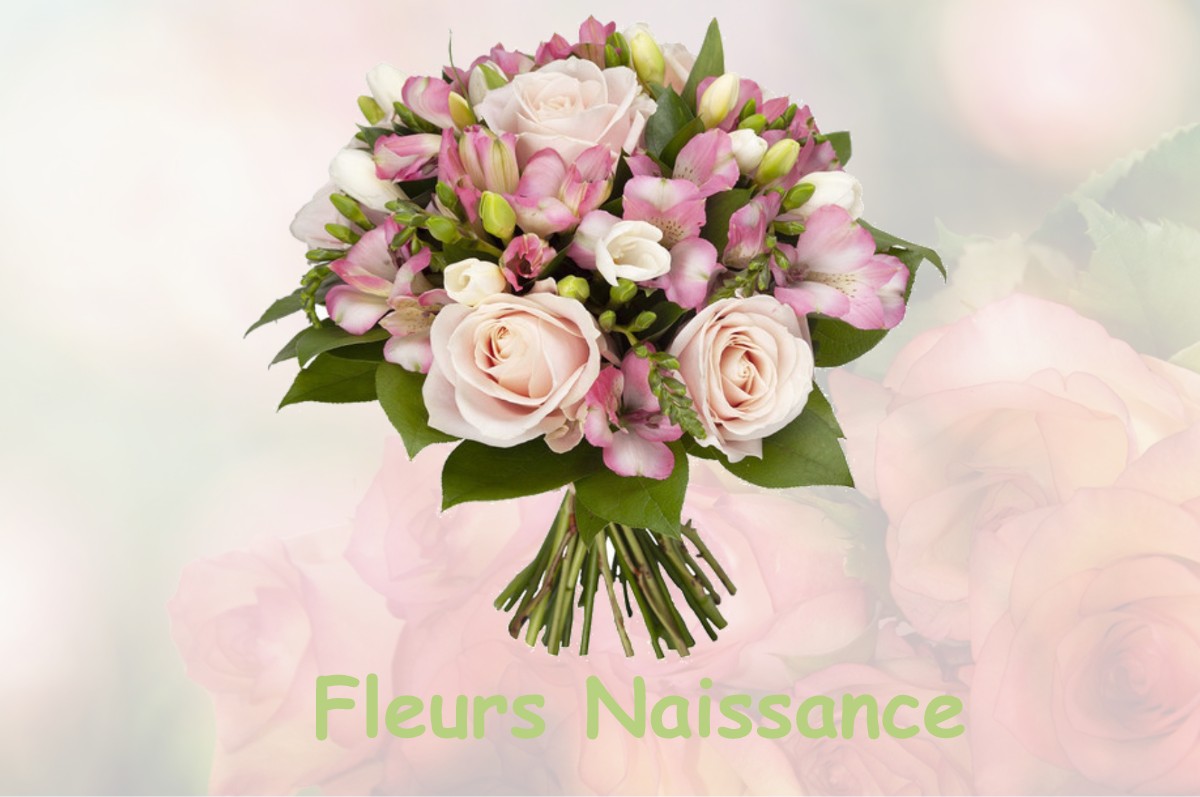 fleurs naissance LA-SELLE-GUERCHAISE